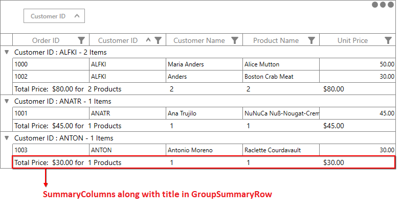 Group Summary with Title in WPF DataGrid