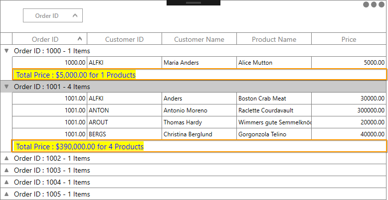 WPF DataGrid displays Group Summary on a Row using Template