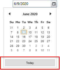 DateTimeEdit dropdown today button