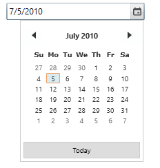 Setting date in WPF DateTimeEdit