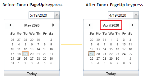 Navigate to previous date or month or year
