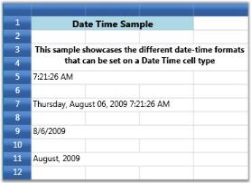 Datetime celltype in WPF GridControl
