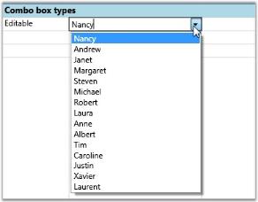 Editable Combo box using ItemsSource in WPF GridControl