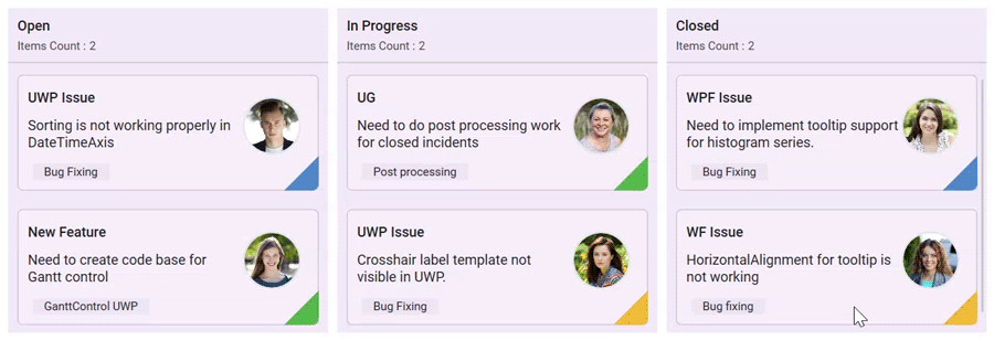 card-tool-tip-customization-support-in-wpf-kanban