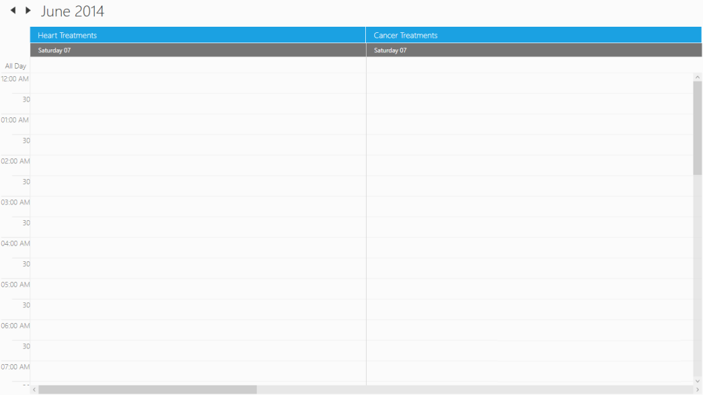 WPF Scheduler dayviewcolumnt with custom value