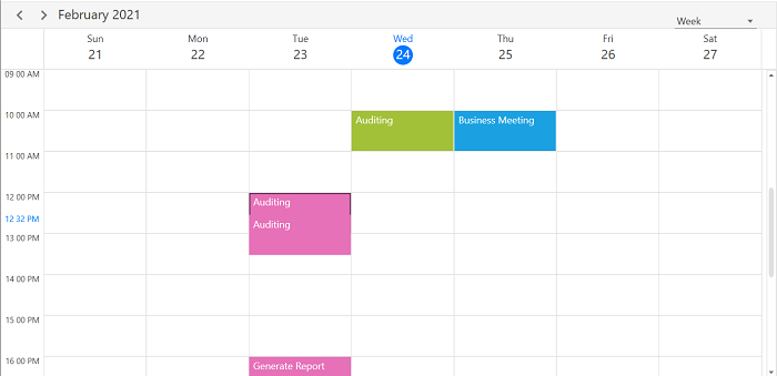 customize-appointment-dragging-time-indicator-format-wpf-scheduler