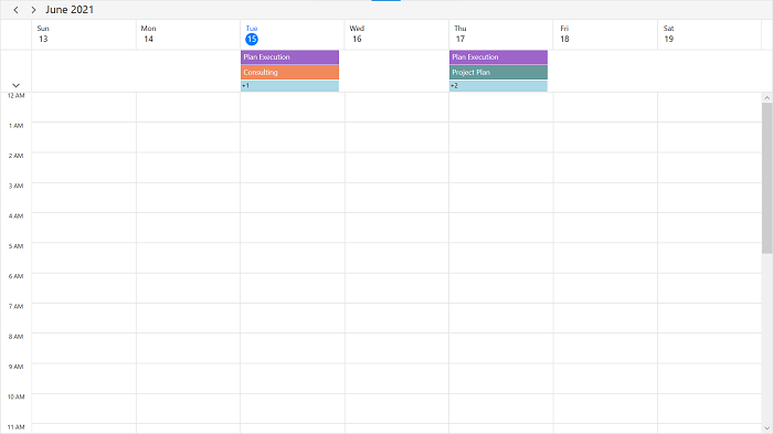 all-day-appointment-panel-display-count-appearance-customization-in-WPF-scheduler-days-week-views