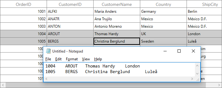 Copy to Clipboard based on Mapping Name in WPF DataGrid