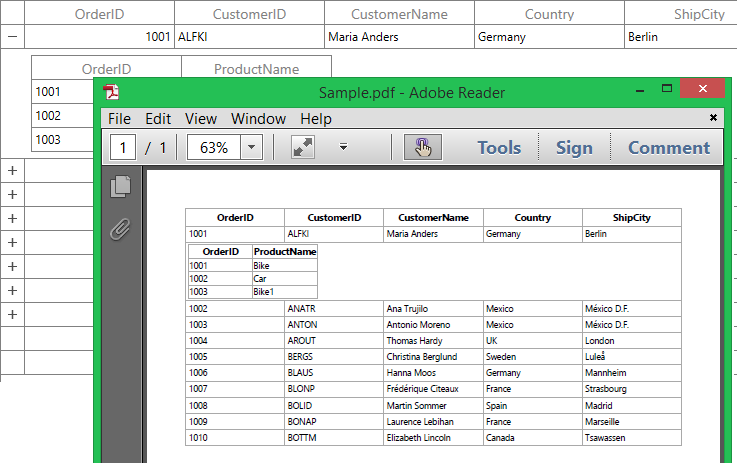 WPF DataGrid displays Nested Grid Exported to PDF File
