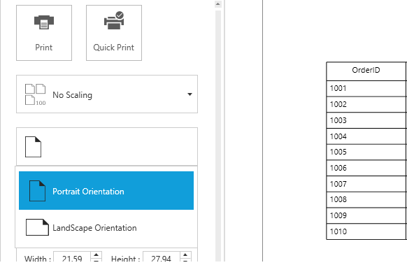 WPF DataGrid displays Page Orientation Options in Print Preview