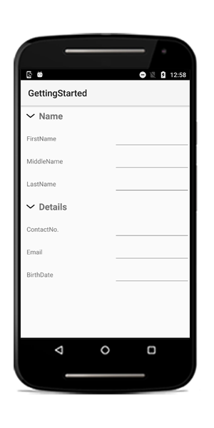 Assigning group to the data form fields through attribute in Xamarin.Android DataForm