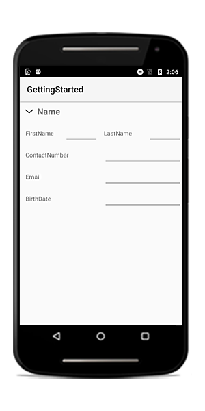 Setting ColumnCount to the data form group fields in Xamarin.Android DataForm
