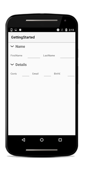 Setting ColumnCount to different data form fields in Xamarin.Android DataForm