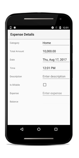 Setting DateFormat to data form date item in Xamarin.Android DataForm