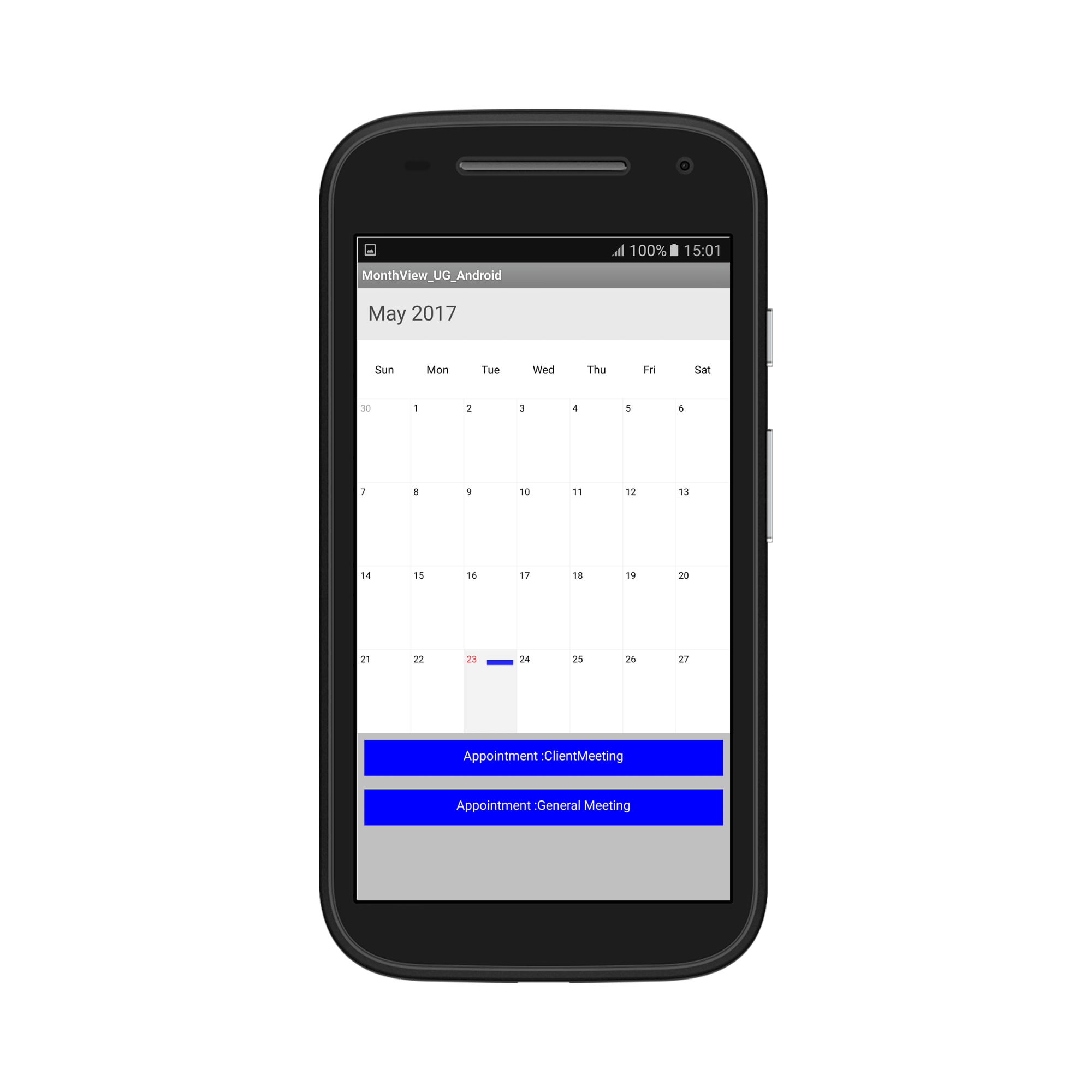 Custom month inline appointment in schedule xamarin android