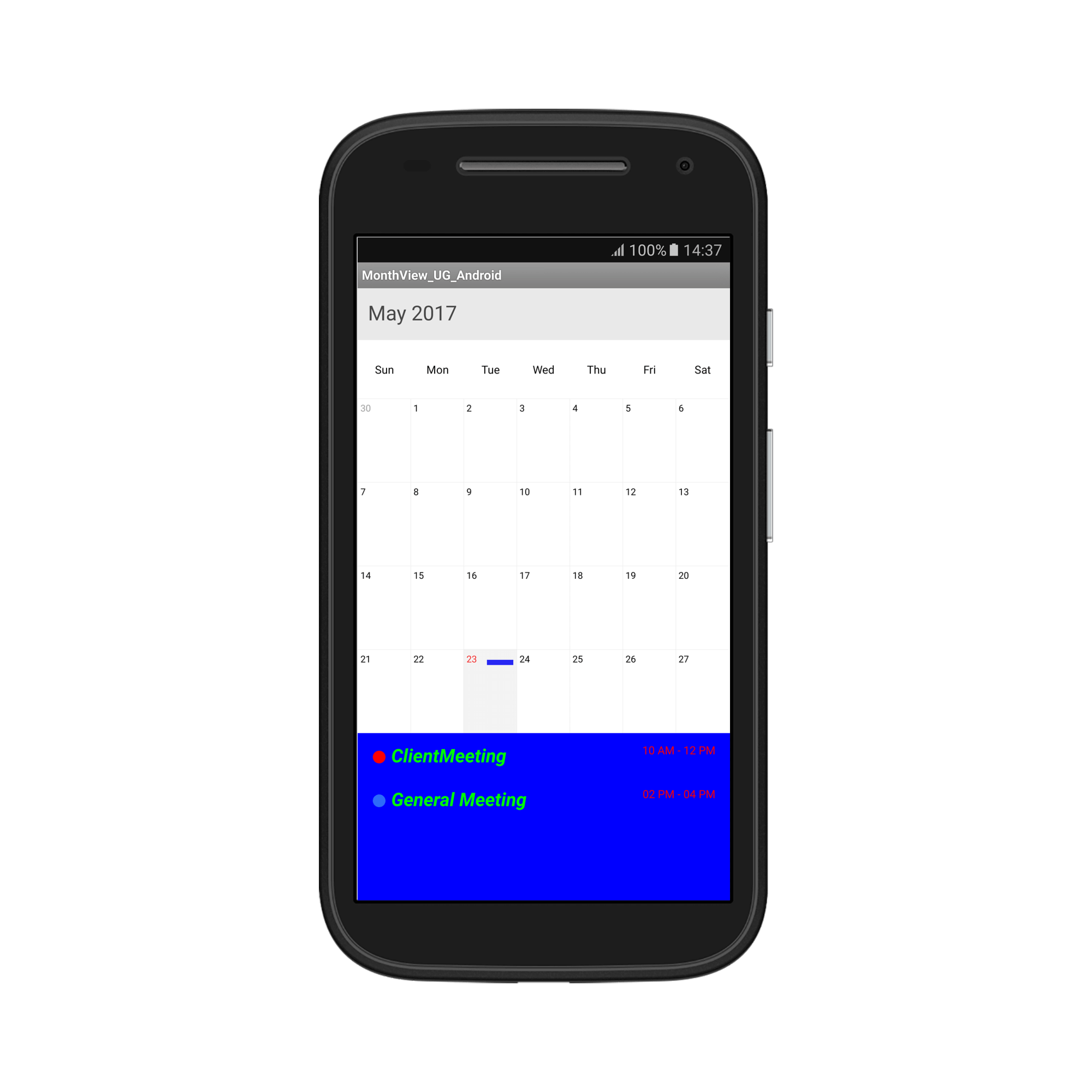 Month inline appointment details formatting and appearance in schedule xamarin android
