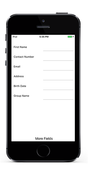 Initial rendering of data form items in Xamarin.iOS DataForm