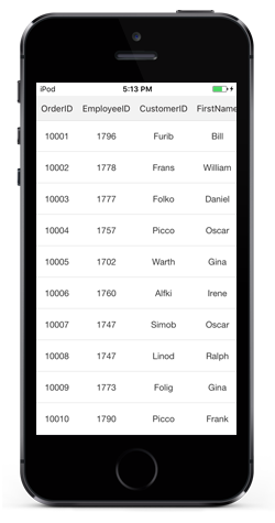 Xamarin.iOS SFDataGrid border customization horizontal