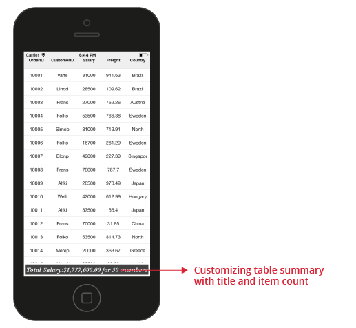Xamarin.iOS SfDataGrid Customizing table summary