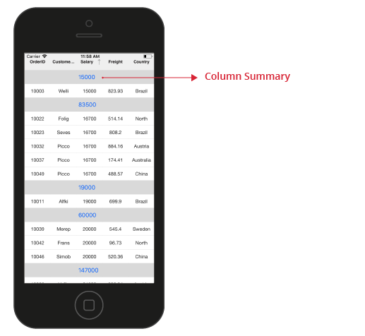 Xamarin.iOS SfDataGrid Defining summary function