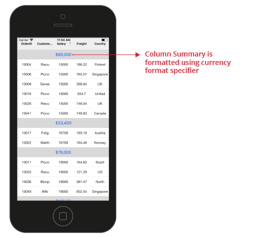 Xamarin.iOS SfDataGrid Formatting summary value