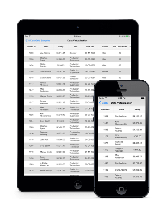 Overview in Xamarin iOS DataGrid