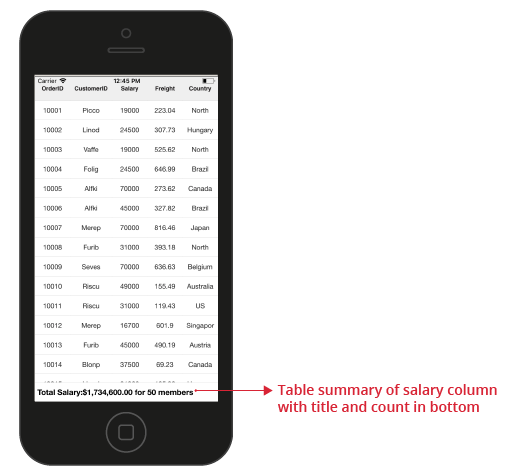 Xamarin.iOS SfDataGrid Table Displaying summary in the row