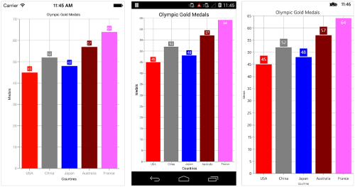 Custom palette support in Xamarin.Forms Chart