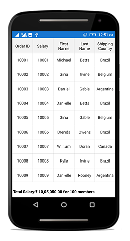 DataGrid with customized table summary row height