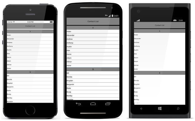 Xamarin.Forms datasource getting started