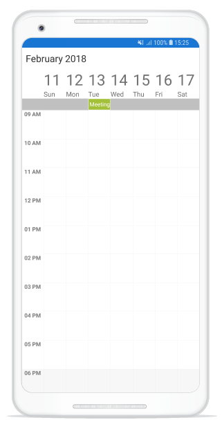 All day appointments in schedule Xamarin Forms