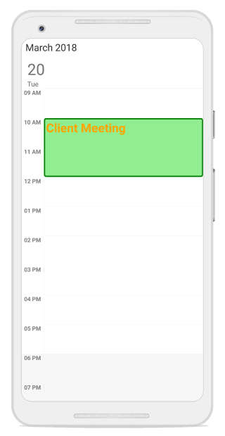Appointments styling support in schedule Xamarin Forms