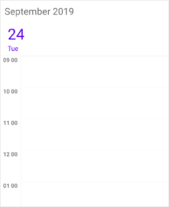 Schedule customizing time label day view