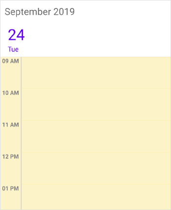 Schedule customizing time slot appearance day view