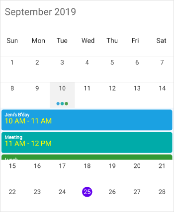 Month inline appointment details formatting and appearance in schedule xamarin forms