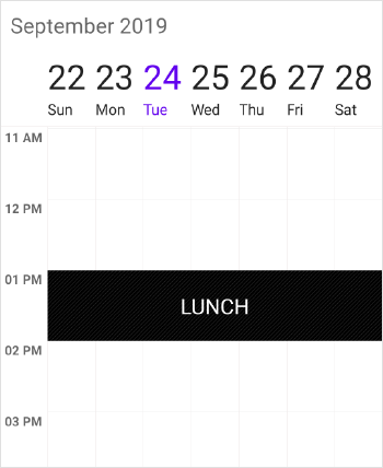 Non accessible block timeslots in schedule xamarin forms
