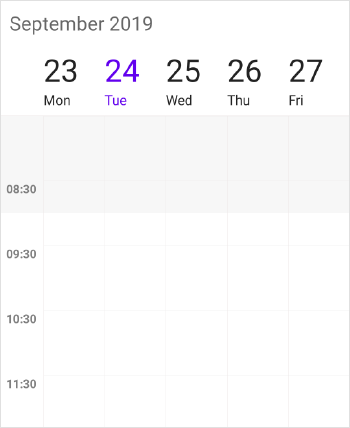 Schedule customizing start and end hour work week view