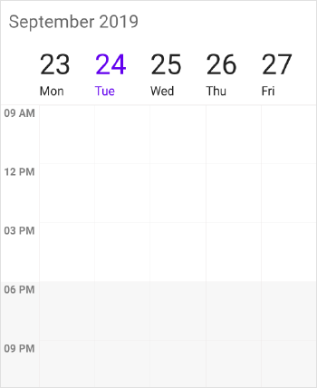 Schedule customizing time interval work week view