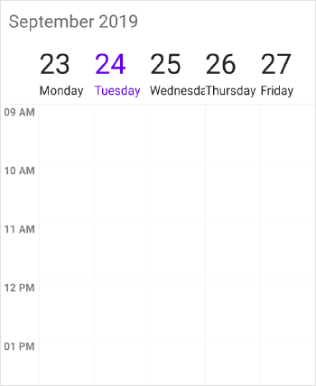Schedule customizing date format work week view